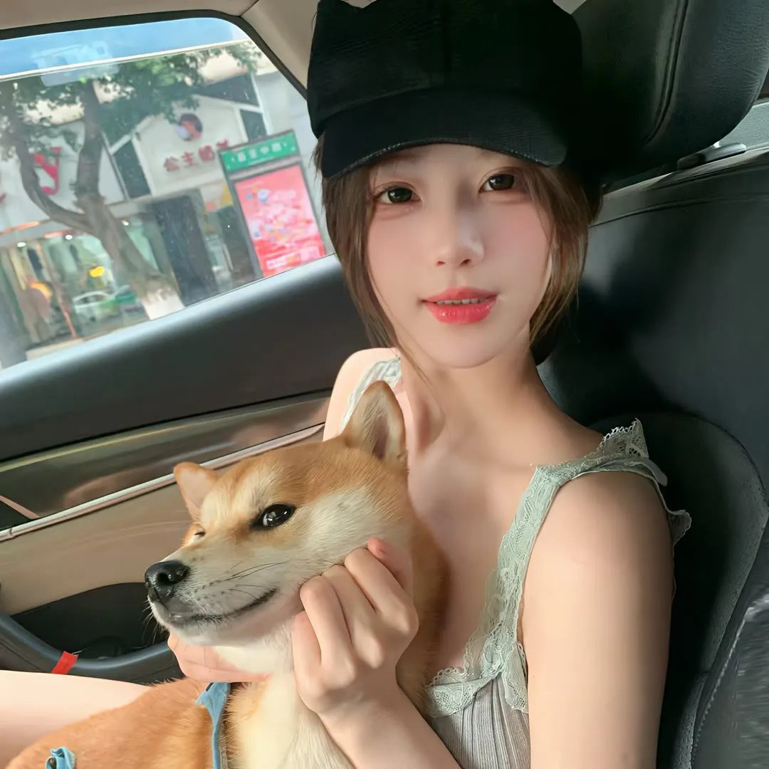 赖猫的狮子倒影